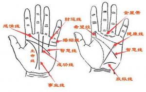 手相怎么看愛情，哪種手相的人不懂浪漫？