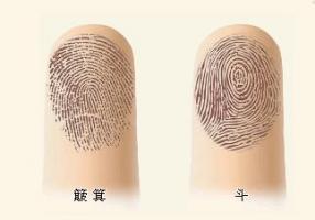 根據(jù)指紋，為你算命，解密手指頭下的人生秘密