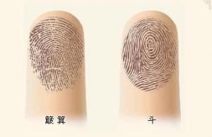 兩位緣主，提供指紋樣式，算一下他們的命理運(yùn)勢(shì)