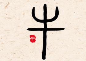 屬牛女人生于幾月偏財(cái)運(yùn)好 