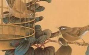 手機(jī)號碼分析你的運(yùn)程 選手機(jī)號碼什么尾數(shù)好