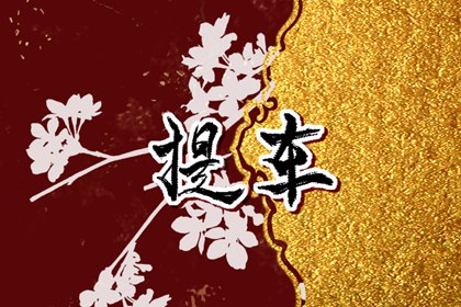 免費測提車吉日?2024年臘月生肖羊接新車什么日子最好