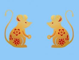 屬馬男和屬鼠女結(jié)婚會(huì)怎樣