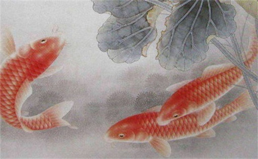 81數(shù)理財運最佳的數(shù)字 吉祥旺運的手機數(shù)組