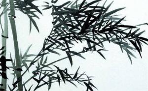 數(shù)字能量學(xué)手機(jī)號解析 手機(jī)號碼看性格事業(yè)財運