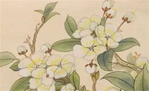 易經(jīng)中最好的三個(gè)數(shù)字 電話號碼選什么數(shù)字好財(cái)運(yùn)