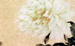 男人不能用的號(hào)碼尾數(shù) 手機(jī)號(hào)最好的磁場組合