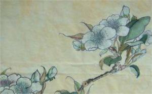 手機(jī)尾號(hào)9003好不好 吉利手機(jī)號(hào)碼查詢免費(fèi)