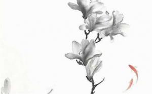 手機(jī)尾數(shù)后四位旺財(cái)8877 如何選擇手機(jī)號(hào)碼吉利數(shù)字