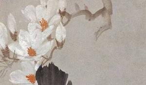 貓砂盆放門(mén)口影響風(fēng)水嗎 不影響要謹(jǐn)慎選擇貓砂
