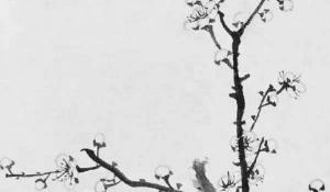 客廳沙發(fā)對(duì)面墻上掛什么畫(huà)好 花開(kāi)富貴繁榮昌盛
