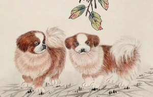 卜算子算命網(wǎng)
