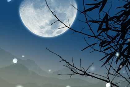2024龍年好聽財(cái)運(yùn)好的家具店鋪名字