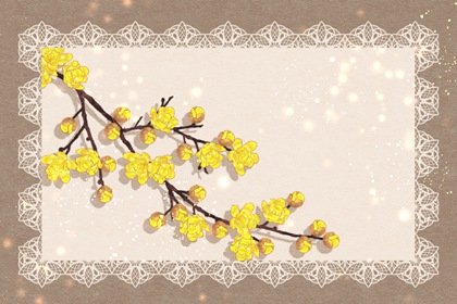 2024龍年有創(chuàng)意的寵物店名字