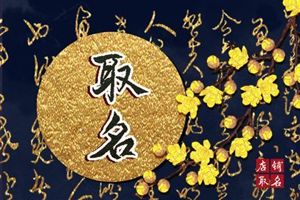 龍年別致獨(dú)特的飾品店鋪名字