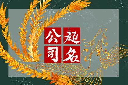 2024龍年新穎有深意的財務(wù)公司名字