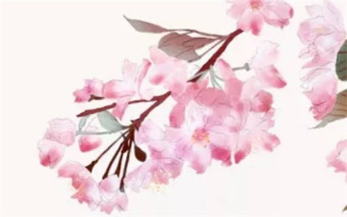 庚寅年出生的人一生運(yùn)勢運(yùn)程如何