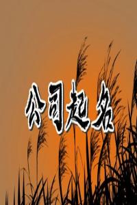 醫(yī)藥公司名字高端大氣 吉祥好聽的醫(yī)藥公司名字