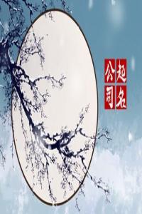 2024龍年裝飾公司名字大全