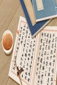 2024年最潮的童裝店鋪名字