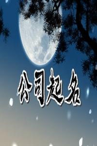 2024龍年網(wǎng)絡(luò)公司取什么名字好聽(tīng)