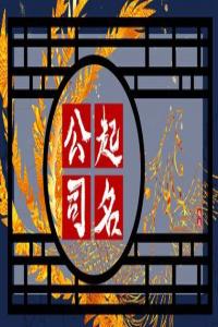 甲辰年獨一無二的投資公司名字