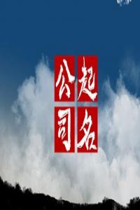 龍年開科技公司如何取名最旺