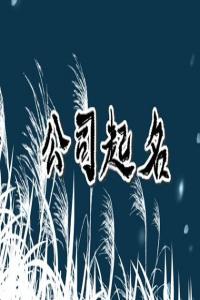 2024龍年好聽有內(nèi)涵的公司名字