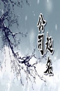2024甲辰年開廣告公司如何取名