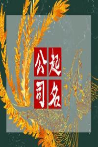 2024龍年新穎有深意的財務公司名字