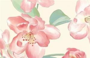 男命日柱帶紅鸞對運(yùn)勢有什么影響嗎