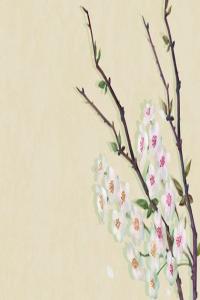 己卯日柱命格的人一生運(yùn)勢(shì)精批