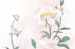 甲辰日柱的男命性格民運(yùn)走勢(shì)如何