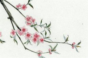 女命傷官格走偏財(cái)大運(yùn)一生運(yùn)程如何