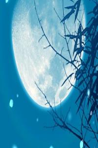 大運(yùn)正印劫財(cái)在時(shí)柱對(duì)運(yùn)勢(shì)有什么影響