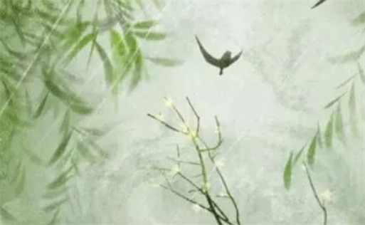 癸水的男人特點(diǎn) 適合癸水男的女人