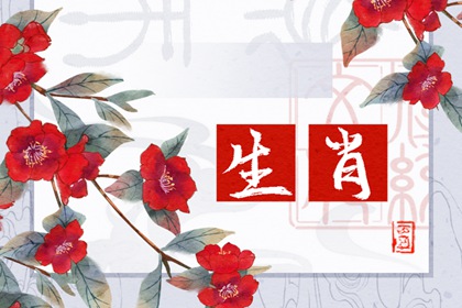 愚蠢至極的生肖女，誰的表現(xiàn)最讓人失望