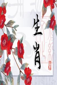 缺心眼的生肖男大揭秘，無腦行為引眾嘲