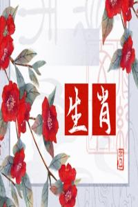 愚蠢至極的生肖女，誰的表現(xiàn)最讓人失望