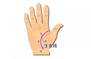 雙重生命線代表什么呢？有什么含義呢？