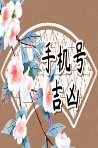 號碼吉兇測算,絕命磁場加伏位磁場，讓你兢兢業(yè)業(yè)還缺錢。