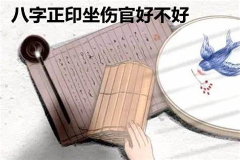 八字命理正印坐傷官是吉是兇？