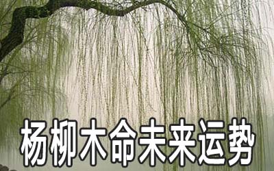楊柳木命的男人一生命運運勢好不好