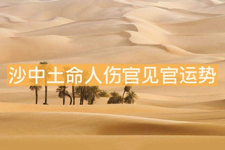 沙中土命人傷官見官運(yùn)勢解析 會有財運(yùn)嗎