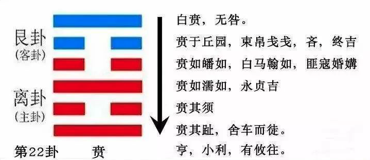 2023年10月22日十二生肖運(yùn)勢(shì)揭秘來(lái)啦