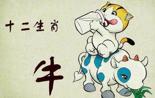 屬牛2024年整體運(yùn)勢(shì)，屬牛2024年的運(yùn)勢(shì)及運(yùn)程！