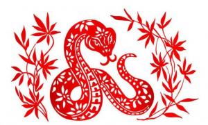 屬蛇2024年整體運(yùn)勢(shì)，屬蛇2024年的運(yùn)勢(shì)及運(yùn)程！