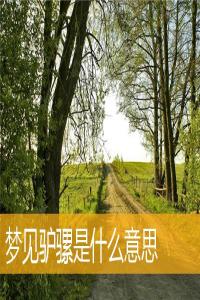 夢(mèng)見驢騾怎么回事 夢(mèng)見驢騾有什么預(yù)兆