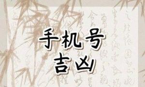 手機(jī)號(hào)碼什么數(shù)字組合最好