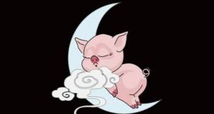 晚上生肖是什么生肖，十二生肖晚上的生肖有哪些？